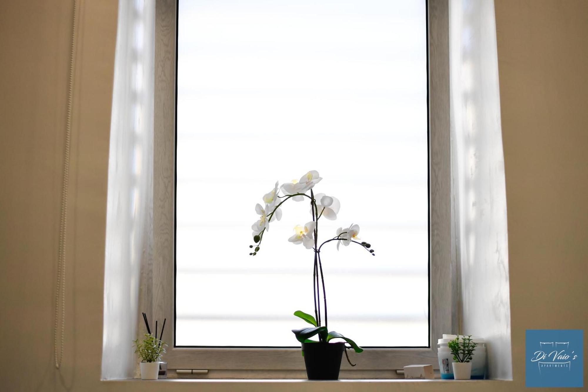 Di Vaio'S Apartments เนเปิลส์ ภายนอก รูปภาพ